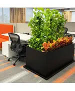 Pots - Handmade Polyester Stone Planters - Shaheen Farouk Designs - TijaraHub