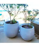 Pots - Handmade Polyester Stone Planters - Shaheen Farouk Designs - TijaraHub