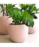 Pots - Handmade Polyester Stone Planters - Shaheen Farouk Designs - TijaraHub