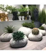 Pots - Handmade Polyester Stone Planters - Shaheen Farouk Designs - TijaraHub