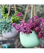 Pots - Handmade Polyester Stone Planters - Shaheen Farouk Designs - TijaraHub