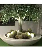 Pots - Handmade Polyester Stone Planters - Shaheen Farouk Designs - TijaraHub