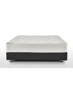 Marriot Mattresses Janssen - Wholesale -  Medical Rebound Foam
TijaraHub