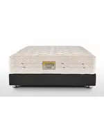 Pocket Cotton Mattress Janssen - Wholesale - Separate Pocket Springs
TijaraHub