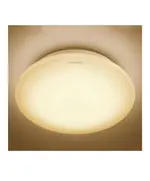 Plafonier Led Light 4000 k - Wholesale - Led Lighting - Philips TijaraHub