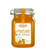 Citrus Blossom Honey Clips 2.25 kg - 100% Natural – Wholesale – Food – Imtenan - TijaraHub