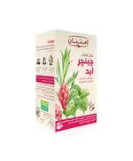 Organic Ginger Aid Tea - 100% Organic – Buy in Bulk – Herbs – Imtenan - TijaraHub