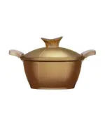 Die-Cast Aluminum Titanium Granite Square Casserole 30 cm - Gold - B2B - Cookware - Neoklein TijaraHub