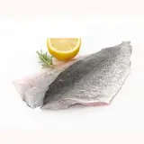 Meager Fillet 6 kg - Wholesale - Seafood - Golden Fish - Tijarahub