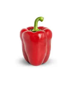 Safe Food Red Capsicum - High Quality Fresh Vegetables Tijarahub