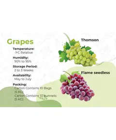 Flame Seedless Grapes - 5 kg - High Quality Frozen Fruits