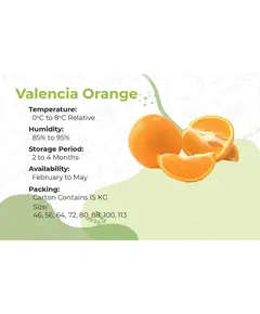 Valencia Orange - 15 kg - High Quality Citrus