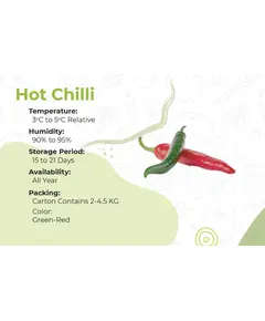 Green Chilli - 4.5 kg - High Quality Fresh Vegetables