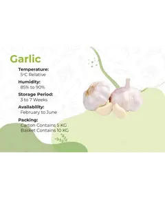 Safe Food Garlic - High Quality Fresh Vegetables Tijarahub