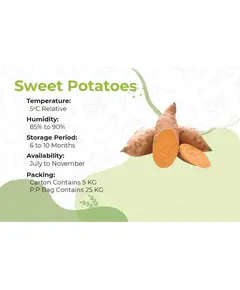 Safe Food Sweet Potatoes - High Quality Fresh Vegetables Tijarahub
