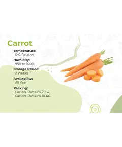Safe Food Carrot - High Quality Fresh Vegetables Tijarahub