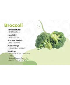 Broccoli - 5 kg - High Quality Fresh Vegetables