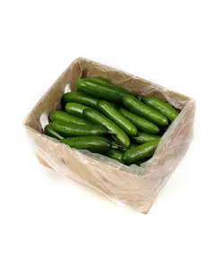 Cucumber - 4.5 kg - High Quality Fresh Vegetables