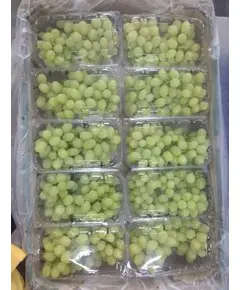 Thomson Grapes - 5 kg - High Quality Frozen Fruits