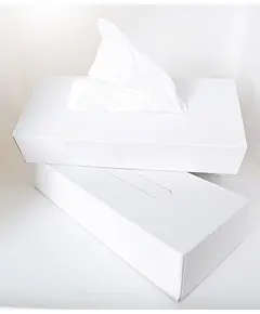 Facial Tissues Hotel Box 100 Sheet - 54 gm