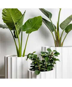 Wholesale - Handmade - Fiberglass Alaska Pot - Outdoor Garden - 100 cm×60 cm - Unique Pots & Plants TijaraHub