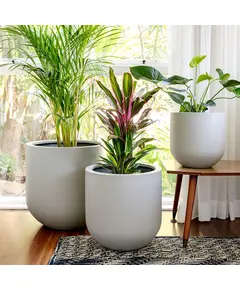 Unique Pots & Plants - Fiberglass Marseille Pot - Handmade - Home & Garden Decoration - B2B - 50 cm×60 cm TijaraHub