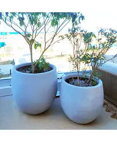 Pots - Handmade Polyester Stone Planters - Shaheen Farouk Designs - TijaraHub