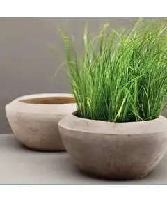 Pots - Handmade Polyester Stone Planters - Shaheen Farouk Designs - TijaraHub