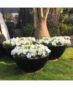 Pots - Handmade Polyester Stone Planters - Shaheen Farouk Designs - TijaraHub