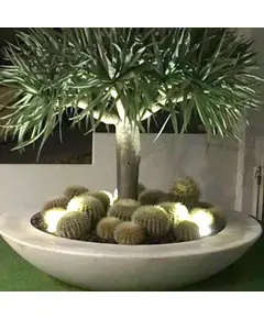 Pots - Handmade Polyester Stone Planters - Shaheen Farouk Designs - TijaraHub