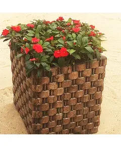 Pots - Handmade Polyester Stone Planters - Shaheen Farouk Designs - TijaraHub