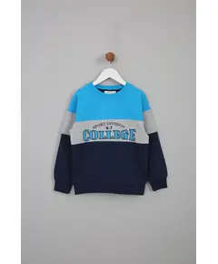 Boy's Sweat Shirt College Printed Multicolored- Wholesale - Kids Clothing - Barmy Kids TijaraHub