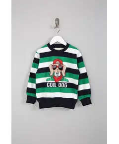 Boy's Sweat Shirt Cool Dog Printed Multicolored- Wholesale - Kids Clothing - Barmy Kids TijaraHub