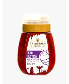 Honey Multiple Flavors 520 gm - Food - B2B - Alaseal - Tijarahub