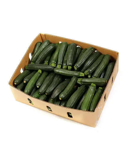 Safe Food Zucchini - High Quality Fresh Vegetables Tijarahub