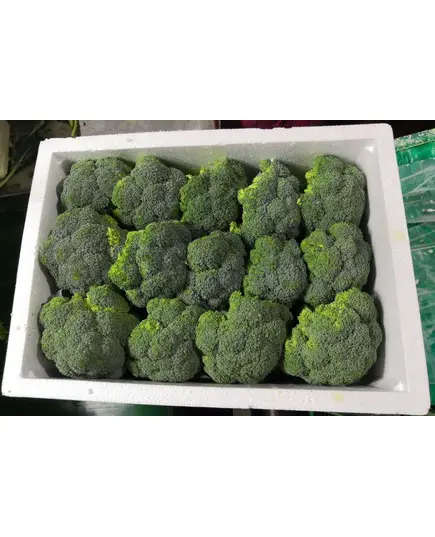 Safe Food Broccoli - High Quality Fresh Vegetables Tijarahub