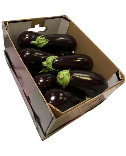 Black Egg Plant - 2 kg - High Quality Fresh Vegetables