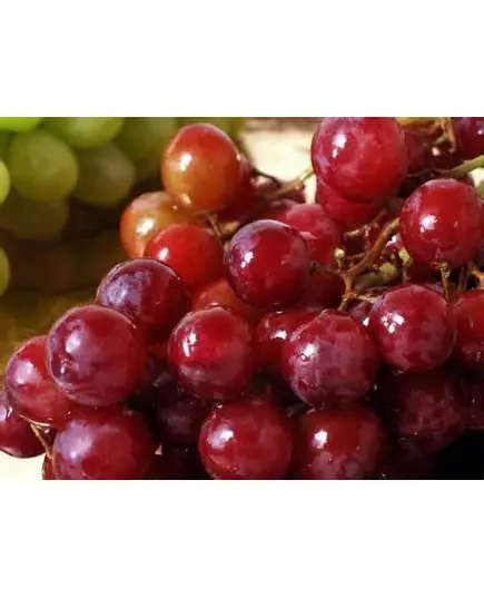 Flame Seedless Grapes - 5 kg - High Quality Frozen Fruits