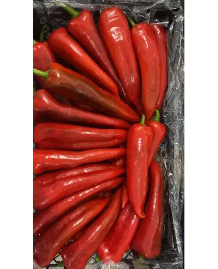 Safe Food Red Chilli - High Quality Fresh Vegetables Tijarahub