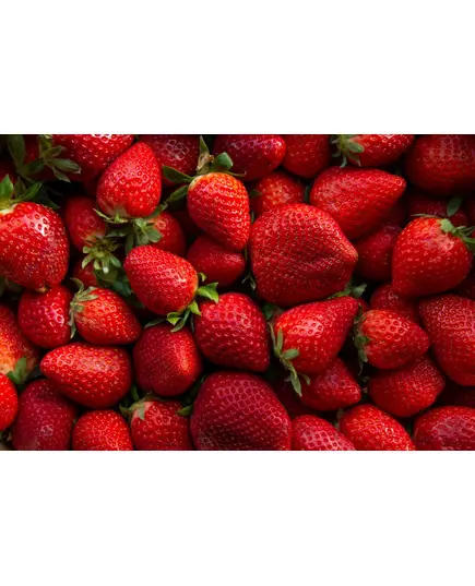 Strawberry - 2 kg - High Quality Frozen Fruits