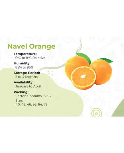 Safe Food Navel Orange - High Quality Citrus Tijarahub