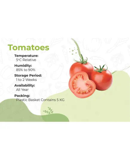 Safe Food Tomatoes - High Quality Fresh Vegetable Tijarahub