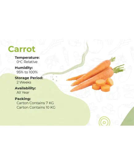 Safe Food جزر - جودة عالية سائب جملة - خضار طازج