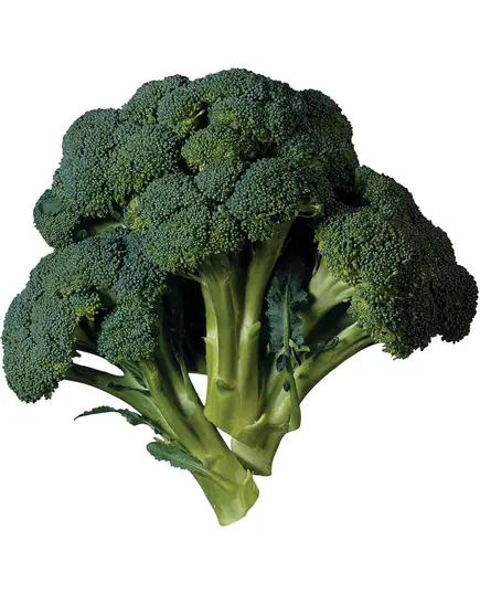 Broccoli