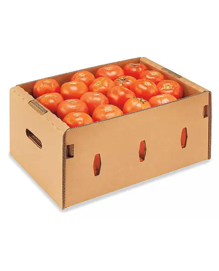 Safe Food Tomatoes - High Quality Fresh Vegetable Tijarahub