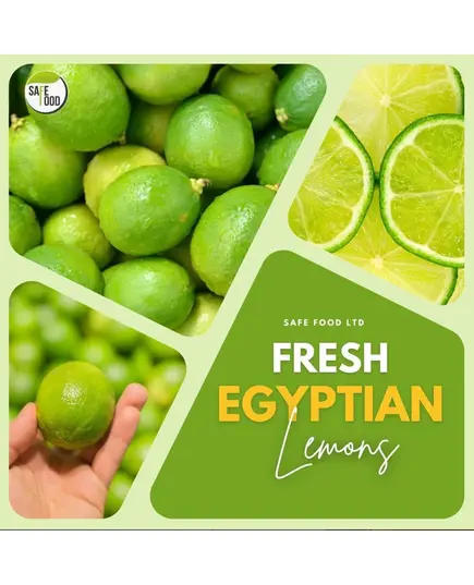 Safe Food Egyptian Lemon - High Quality Citrus Tijarahub