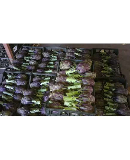 Safe Food Artichoke - High Quality Fresh Vegetables Tijarahub