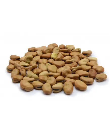 Egyptian Fava Beans - 100% Premium Quality - Haboba Tijarahub