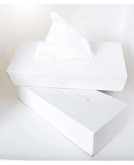 Facial Tissues Hotel Box 60 Sheet - 34 gm