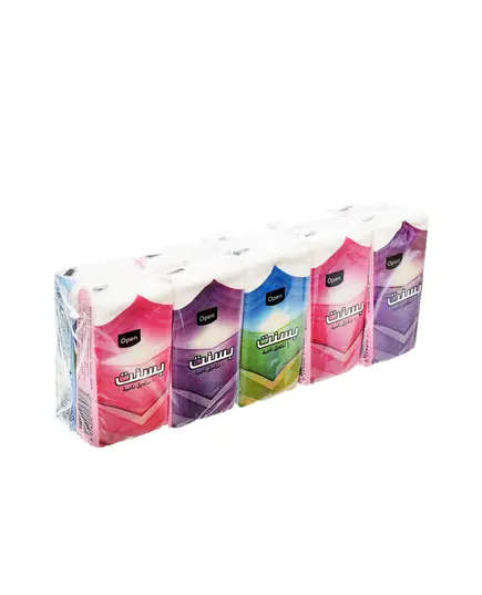 Bassant Pocket Tissues 3 Ply - 19 gm - Portable & Comfortable